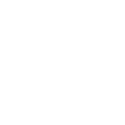 ce logo Payson